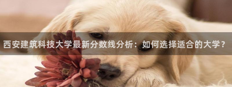 谈球吧体育app下载官网手机版苹果