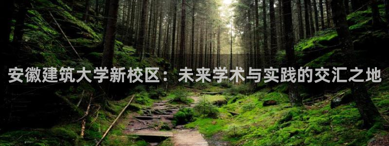 谈球吧红包码