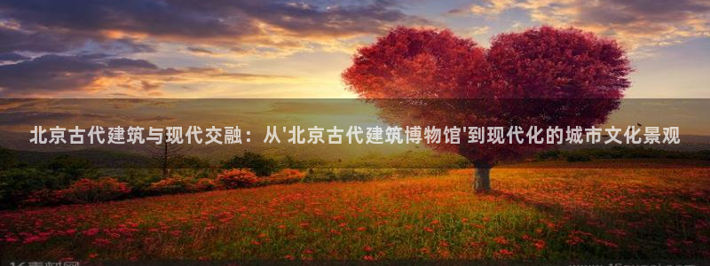 谈球吧官网在线入口免费观看高清版
