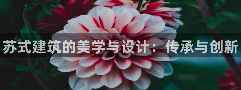 谈球吧在线登录