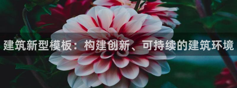 谈球吧体育app下载中心官网手机版