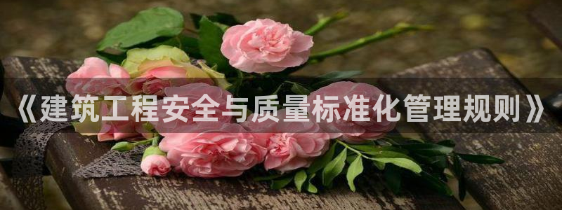 谈球吧打不开了