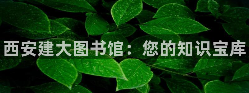 谈球吧登录地址：西安建大图书馆：您的知识宝库
