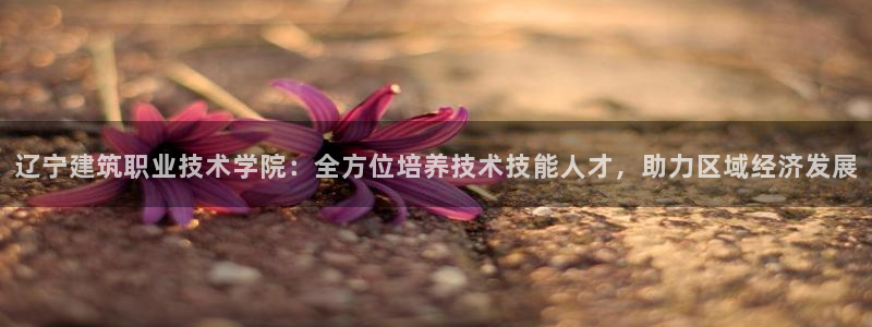 谈球吧体育app下载中心官方