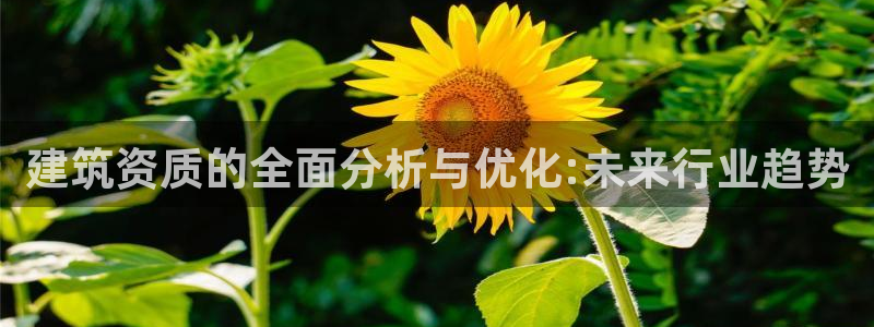 谈球吧体育app下载中心官方最新版：建筑资质的全面分析与优化:未来行业趋势