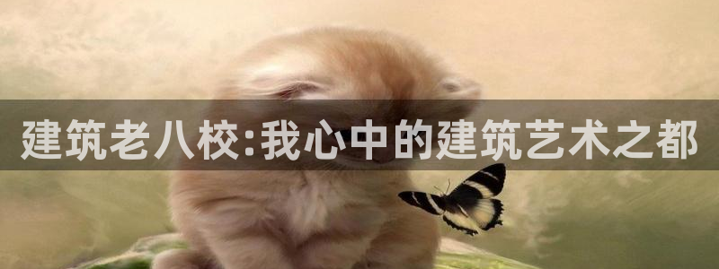 谈球吧综合官网app