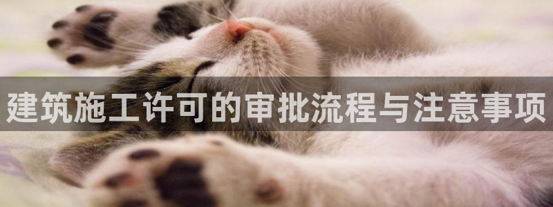 谈球吧全站app下载手机版