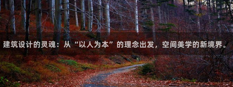 谈球吧网页登陆