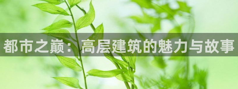 谈球吧体育app下载足球比赛直播