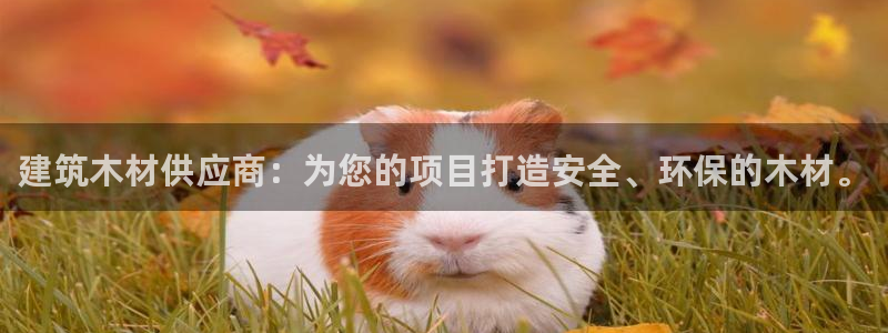 谈球吧体育app下载中心官方