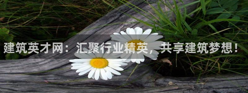 谈球吧是黑台子吗还是白台子