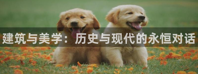 谈球吧app赛事分析在哪里看