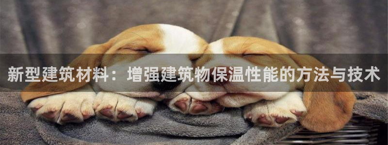 谈球吧