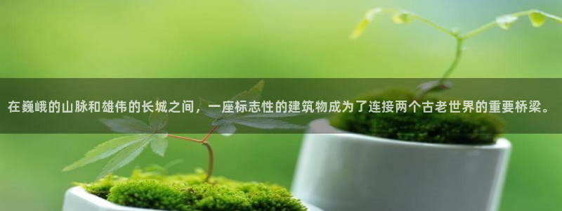 谈球吧出款怎样?