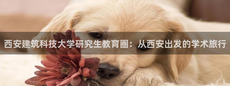 谈球吧是黑台子吗知乎全文