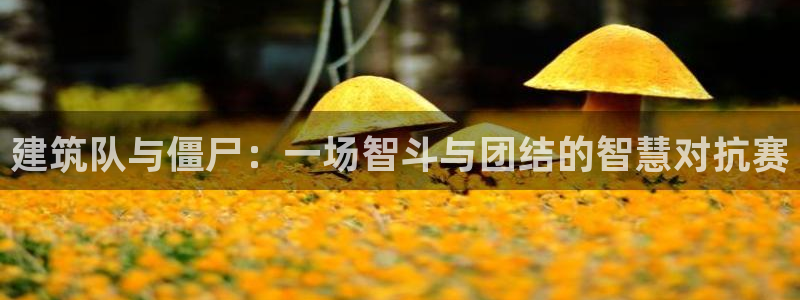 谈球吧体育官网在线入口免费观看