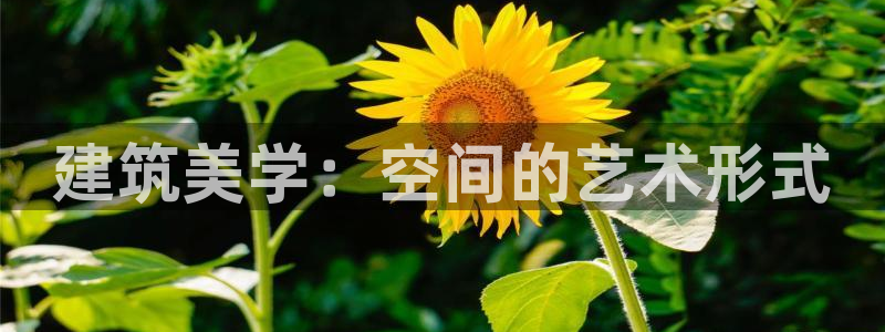 谈球吧体育综合