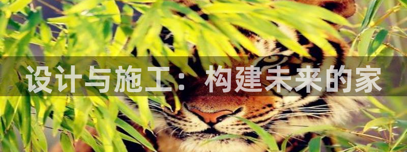 谈球吧官网在线入口手机版免费观看