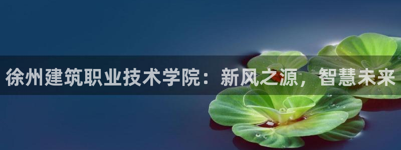 谈球吧体育app下载足球比赛直播：徐州建筑职业技术学院：新风之源，智慧未来
