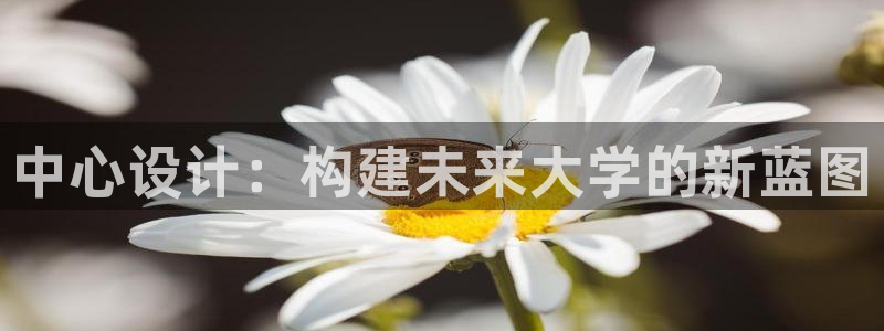 谈球吧体育app下载足球：中心设计：构建未来大学的新蓝图