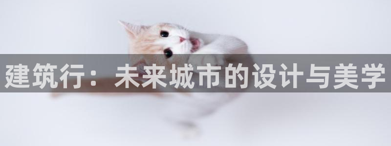 谈球吧是黑台子吗还是白台子好