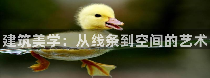 谈球吧综合官网app