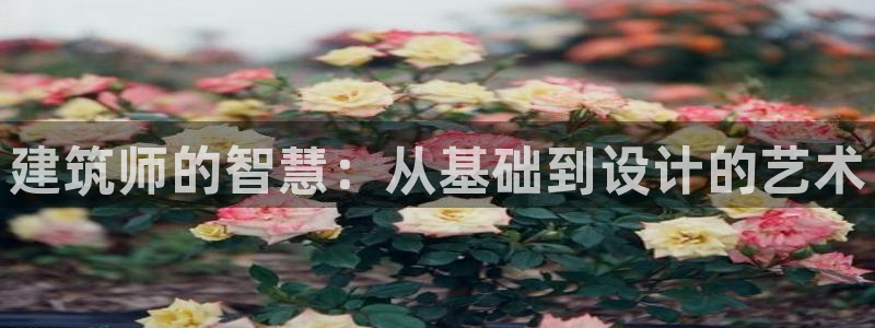 谈球吧app官网下载