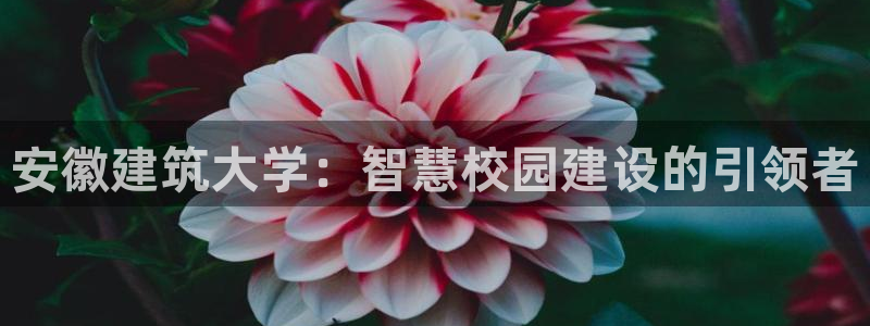 谈球吧app赛事分析在哪里看