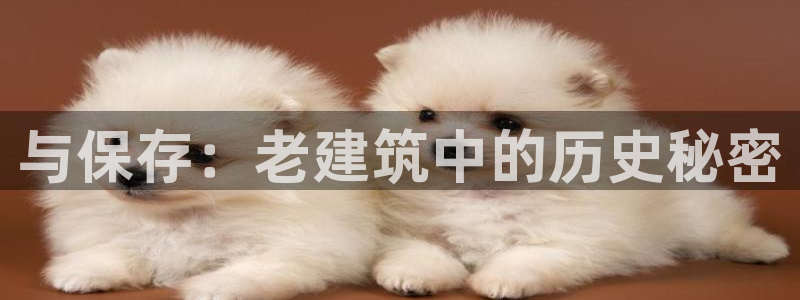 谈球吧体育app下载足球直播