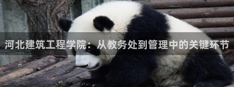 谈球吧app官网下载安卓