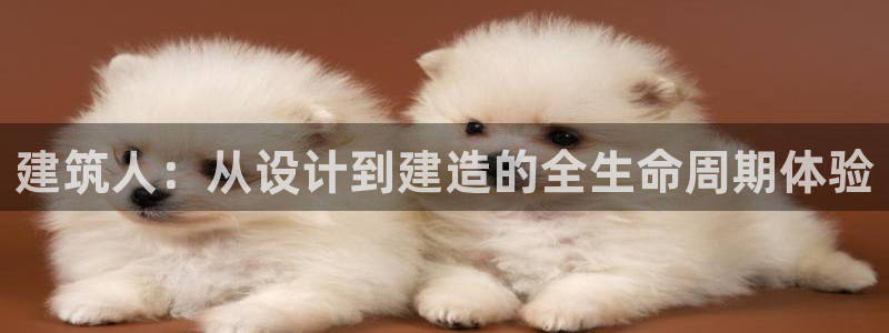 谈球吧官网在线入口免费观看视频