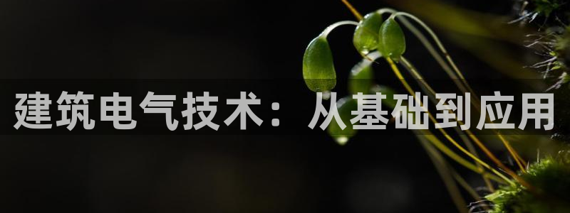 谈球吧-体育赛事