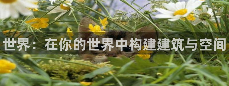 谈球吧app官网下载