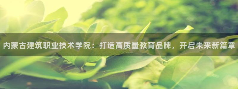 谈球吧官网app下载