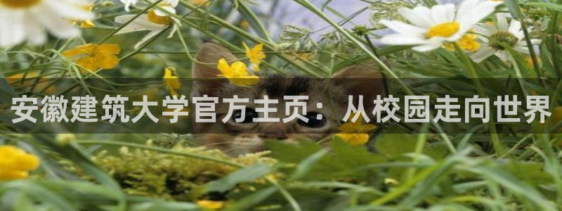 谈球吧官网在线入口手机版下载安装