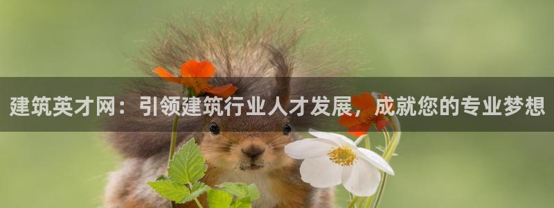 谈球吧体育app下载官网手机版安装