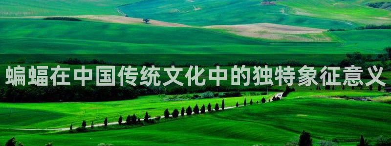 谈球吧全站app下载