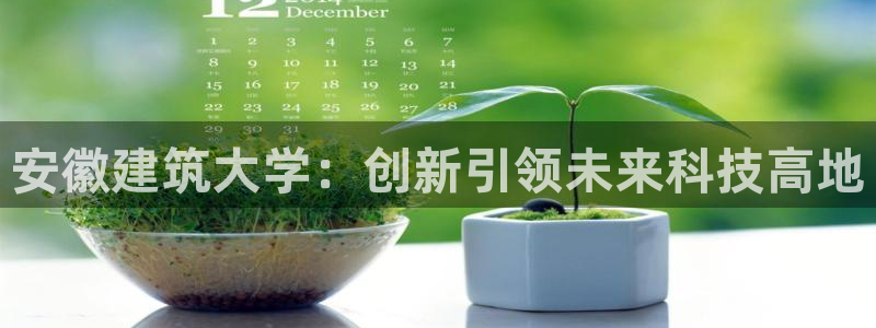 谈球吧官网在线入口免费观看高清