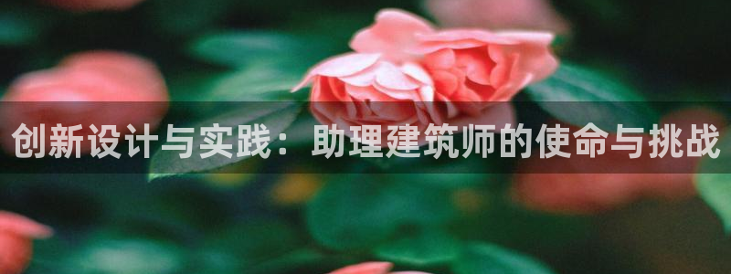 谈球吧算违法行为吗为什么