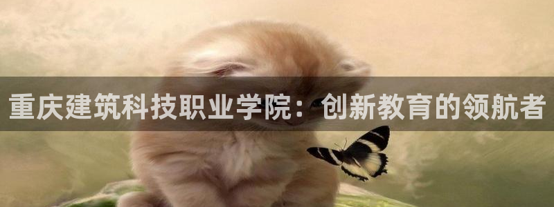 谈球吧体育综合台