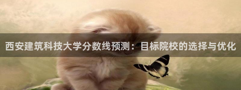 谈球吧app体育下载