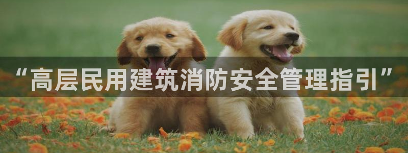 谈球吧体育app下载官网苹果