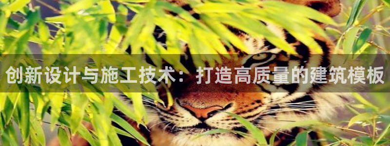 谈球吧登录地址