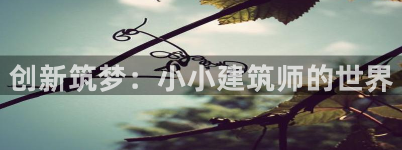 谈球吧体育app官网下载安卓