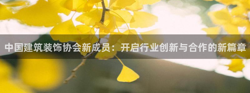 谈球吧中国官方网站