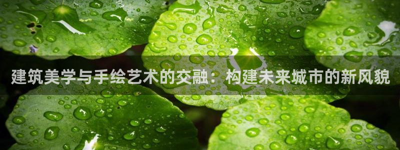 谈球吧官网登录