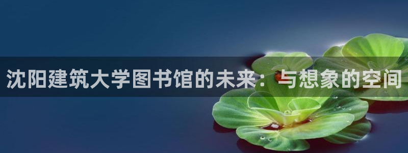 谈球吧在线观看